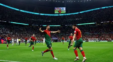 “黑熊”谜语答案及对应的动物生肖解析